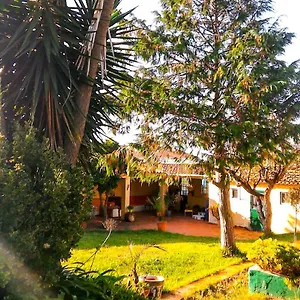 Lugar Saloio Sintra Bed and breakfast Mem Martins